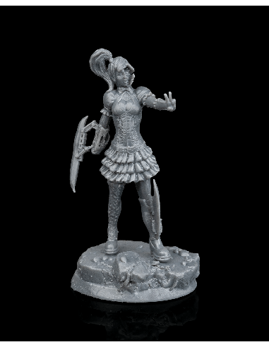 Twin Androids – Figurine résine | geek3D.fr