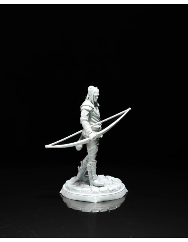 Eagon Milvenin – Figurine résine | geek3D.fr