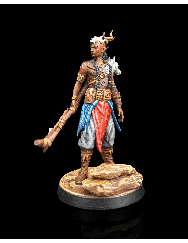Ellion, The Nomadic Stranger – figurine résine 3