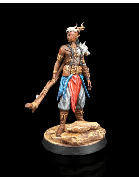 Ellion, The Nomadic Stranger – figurine résine 3