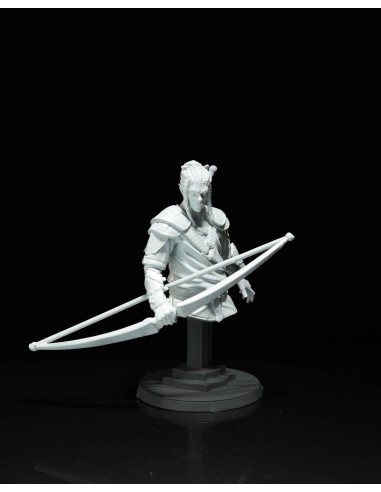 Eagon Milvenin – Figurine résine | geek3D.fr