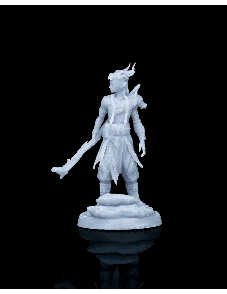 Ellion, The Nomadic Stranger – figurine résine 2