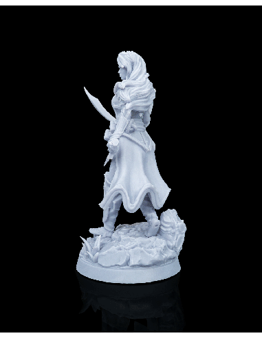 Dorinthea, Master of Swords – figurine résine 5