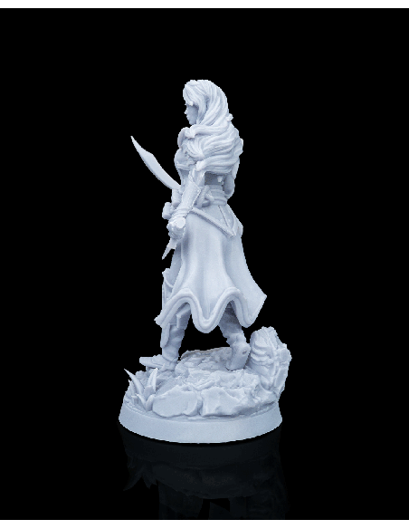 Dorinthea, Master of Swords – figurine résine 5