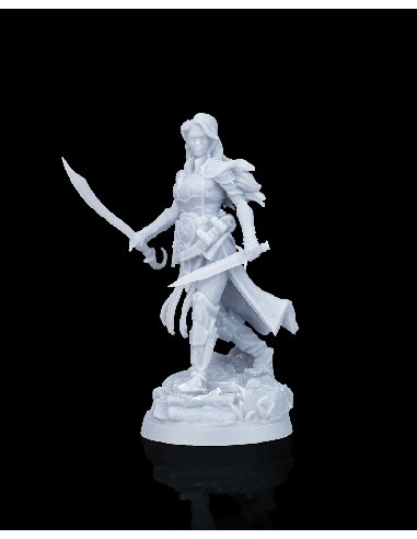 Dorinthea, Master of Swords – figurine résine 6