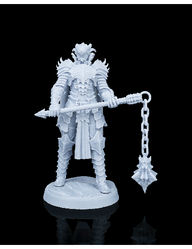 Knight Kestrel – figurine résine 1