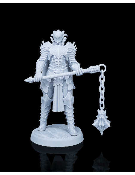 Knight Kestrel – figurine résine 1