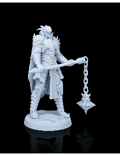Knight Kestrel – figurine résine 1 2