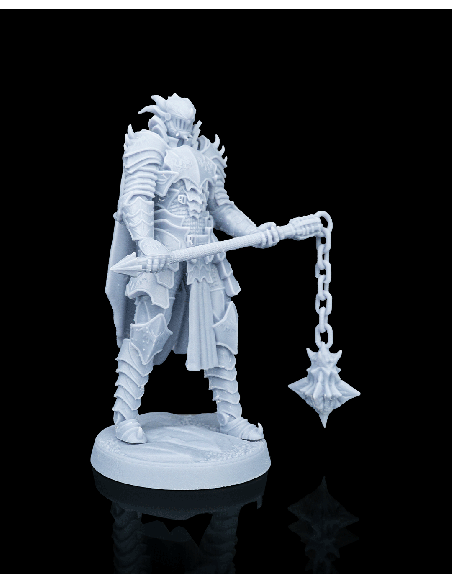 Knight Kestrel – figurine résine 2