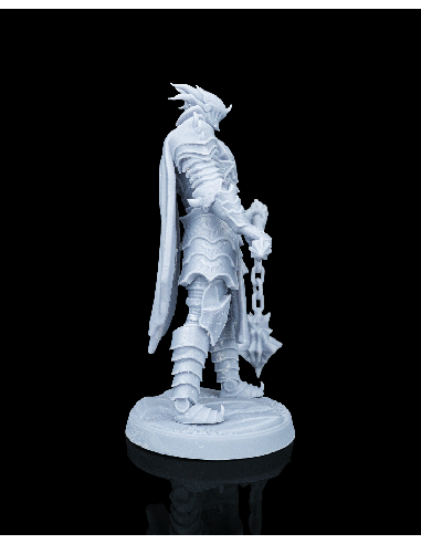 Knight Kestrel – figurine résine 3