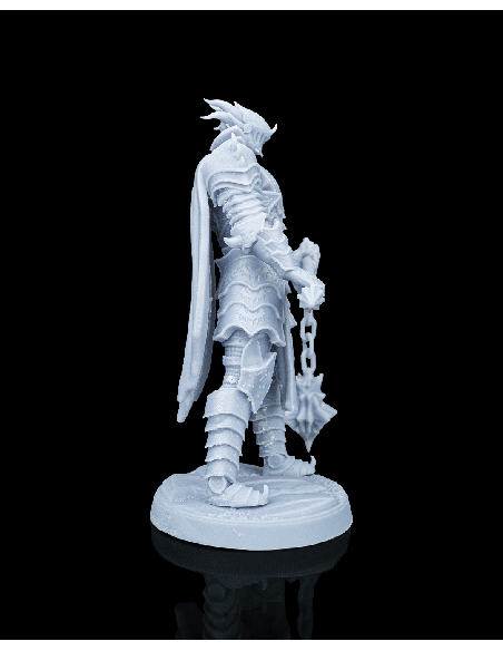 Knight Kestrel – figurine résine 3