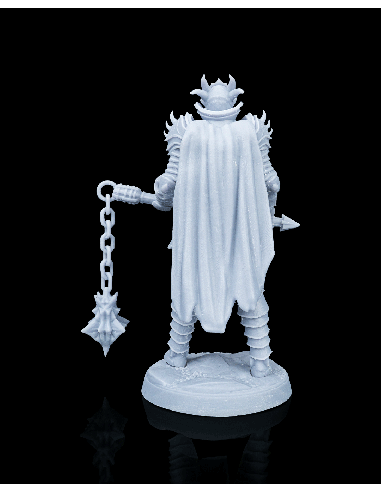 Knight Kestrel – figurine résine 4