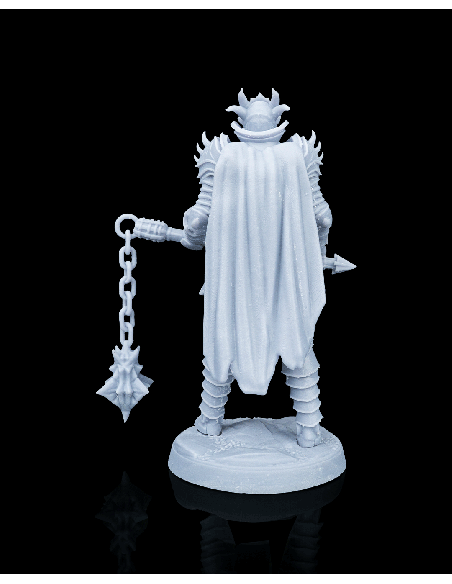 Knight Kestrel – figurine résine 4