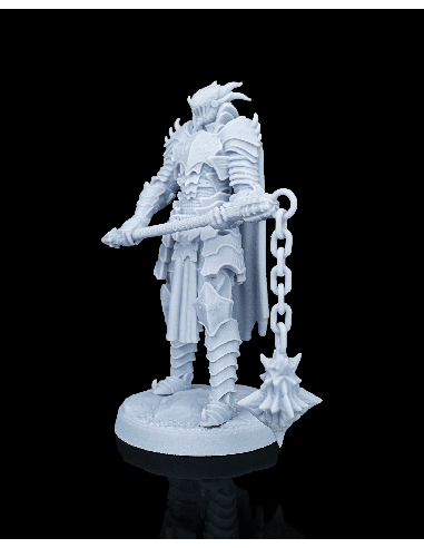 Knight Kestrel – figurine résine 5