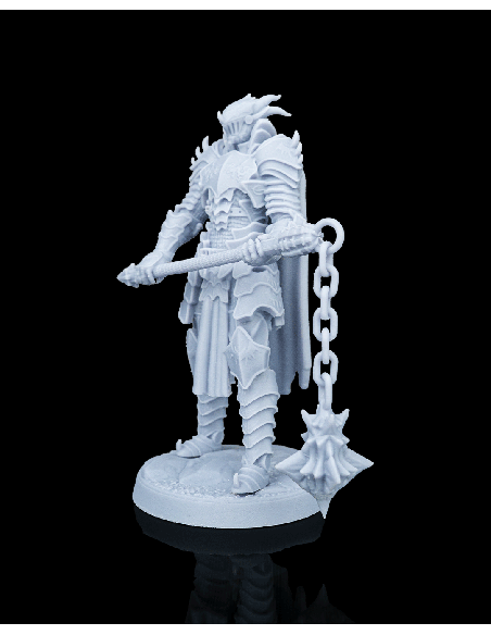 Knight Kestrel – figurine résine 5