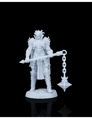 Knight Kestrel – figurine résine 6