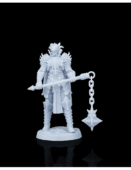 Knight Kestrel – figurine résine 6