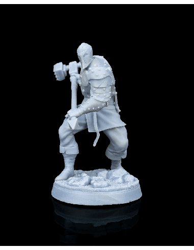 Malleus, Dragon Cult Soldier – Figurine résine | geek3D.fr