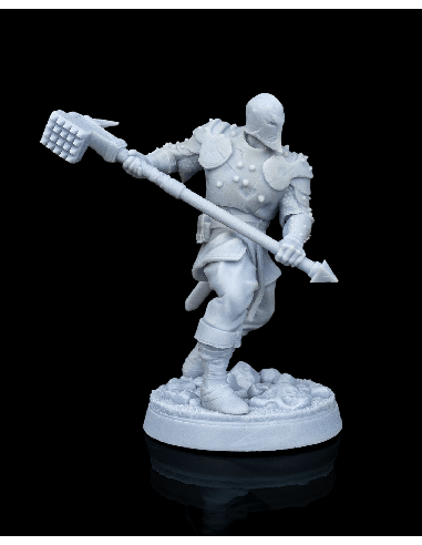 Malleus, Dragon Cult Soldier – Figurine résine | geek3D.fr