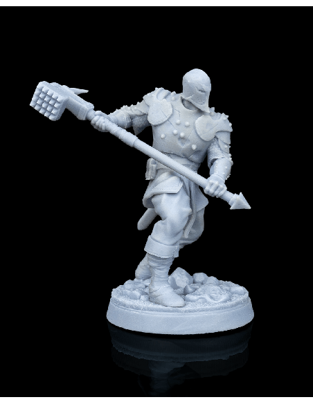 Malleus, Dragon Cult Soldier – Figurine résine | geek3D.fr