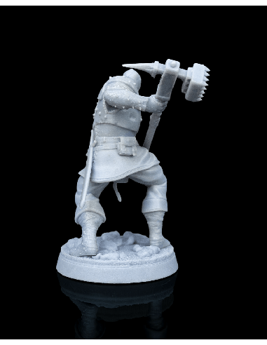Malleus, Dragon Cult Soldier – Figurine résine | geek3D.fr