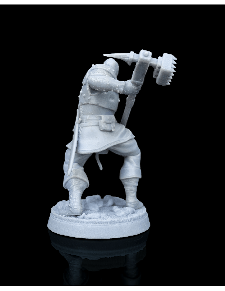Malleus, Dragon Cult Soldier – Figurine résine | geek3D.fr