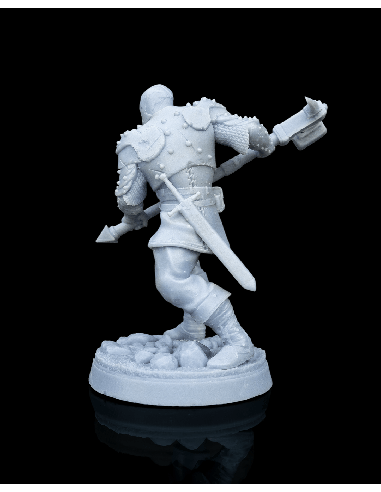 Malleus, Dragon Cult Soldier – figurine résine 5
