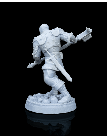 Malleus, Dragon Cult Soldier – figurine résine 5